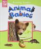 Cover image of Animal babies