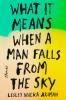Cover image of What it means when a man falls from the sky