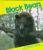 Cover image of Black bears