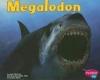 Cover image of Megalodon