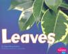Cover image of Leaves