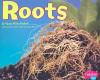 Cover image of Roots