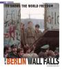 Cover image of TV shows the world freedom as the Berlin Wall falls