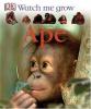 Cover image of Ape