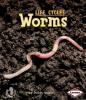 Cover image of Worms
