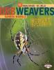 Cover image of Orb weavers