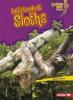 Cover image of Let's look at sloths