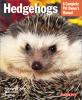 Cover image of Hedgehogs