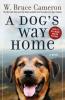 Cover image of A Dog's Way Home: A Novel