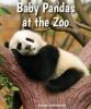 Cover image of Baby pandas at the zoo