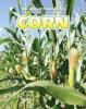 Cover image of Corn
