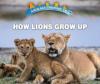 Cover image of How lions grow up