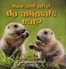 Cover image of How and what do animals eat?