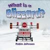 Cover image of What is a blizzard?