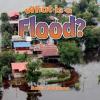 Cover image of What is a flood?