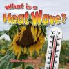 Cover image of What is a heat wave?