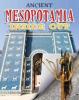 Cover image of Ancient Mesopotamia inside out