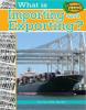 Cover image of What is importing and exporting?