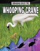 Cover image of Bringing back the whooping crane