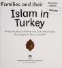 Cover image of Islam in Turkey