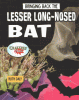 Cover image of Bringing back the lesser long-nosed bat