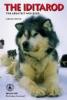 Cover image of The Iditarod: The Greatest Race Ever