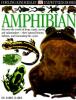 Cover image of Amphibian