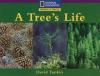 Cover image of A Tree's Life