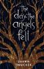 Cover image of The day the angels fell