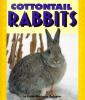 Cover image of Cottontail rabbits