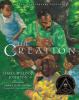 Cover image of The creation