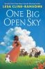 Cover image of One big open sky