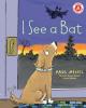 Cover image of I see a bat