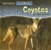 Cover image of Coyotes are night animals