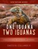 Cover image of One iguana, two iguanas