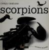 Cover image of Scorpions