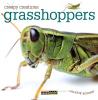 Cover image of Grasshoppers
