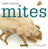 Cover image of Mites
