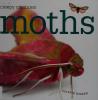 Cover image of Moths