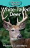 Cover image of White-tailed deer