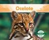 Cover image of Ocelote