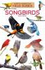 Cover image of Songbirds