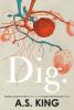 Cover image of Dig