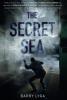 Cover image of The secret sea