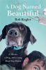 Cover image of A dog named Beautiful