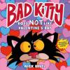 Cover image of Bad Kitty does not like Valentine's Day