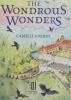 Cover image of The wondrous wonders