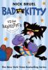 Cover image of Bad Kitty vs the babysitter