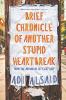 Cover image of Brief chronicle of another stupid heartbreak