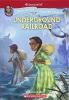 Cover image of The Underground Railroad